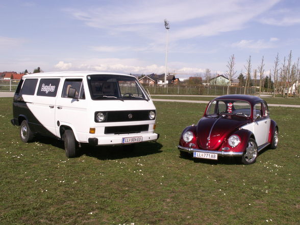 Bangbus vs. Käfer - 