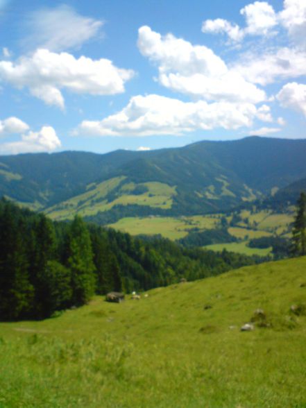 Wanderung auf unsre Alm - 