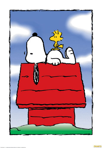 SnOoPy - 