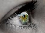 eyes - 