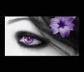 eyes - 