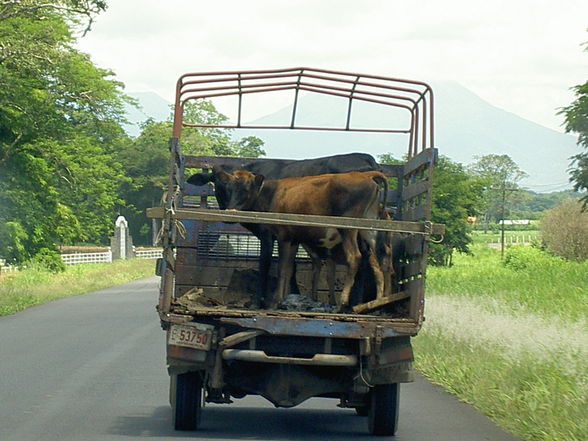 costa rica juni 07 - 