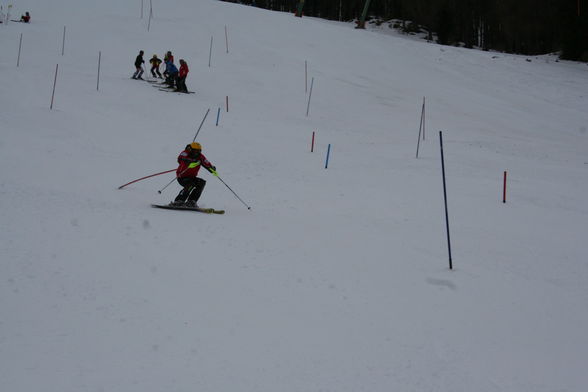 skifoan - 