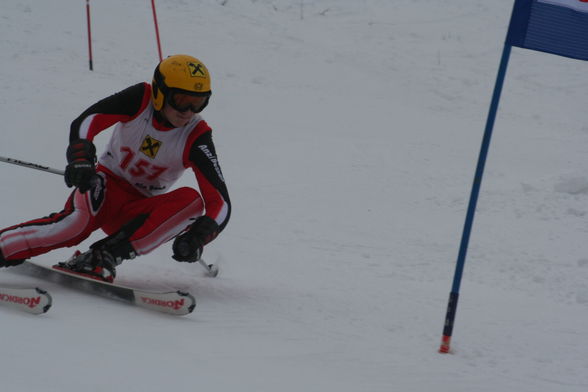 skifoan - 