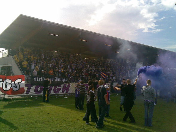 Forza Viola - 