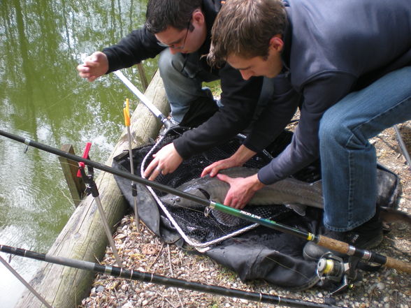 Fischen Erdbeerteich - 