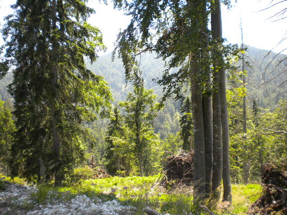 Berghütte Teil 1 - 