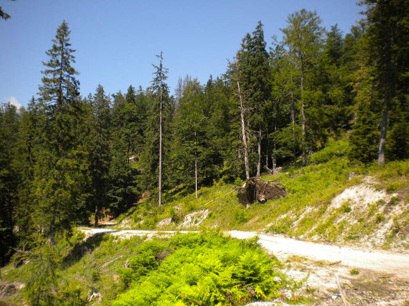 Berghütte Teil 1 - 