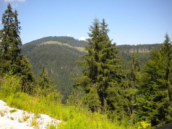 Berghütte Teil 1 - 