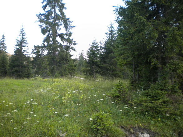 Berghütte Teil 1 - 