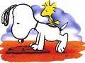 SNOOPY - 