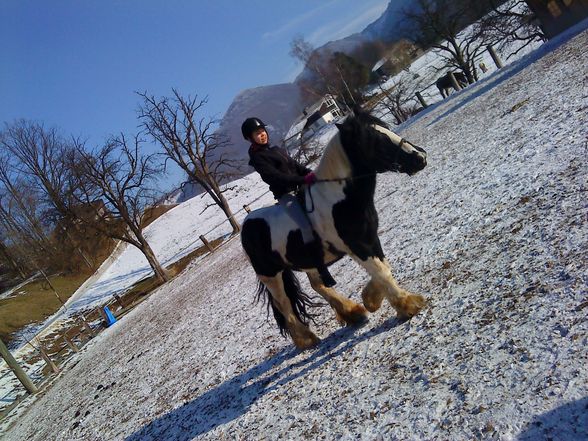 Reiten....xD - 