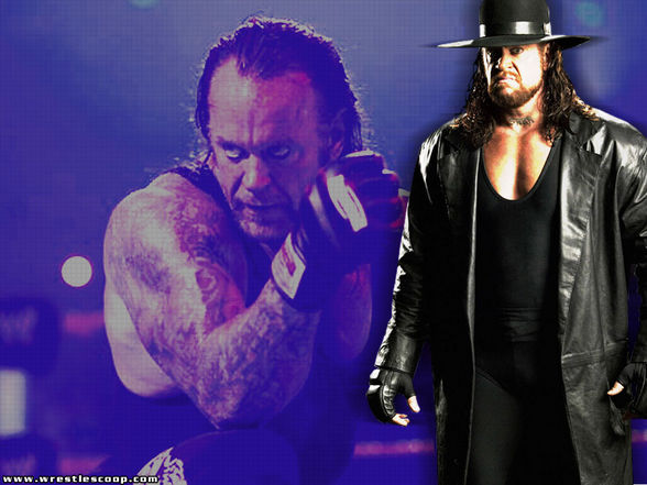 Undertaker ( Mei Lieblingswrestler) - 