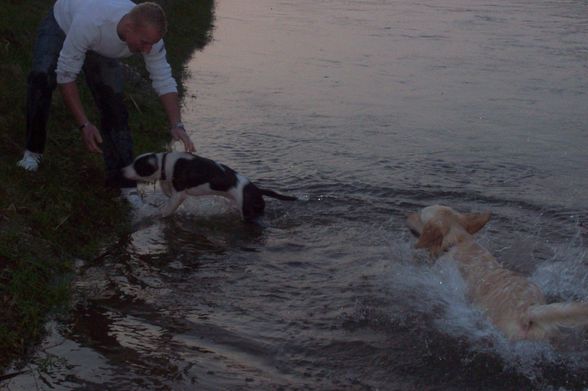 Unser BÖSER Kampfhund ;) - 