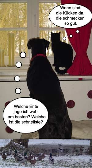 Tiere - 