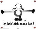 lieb!!! - 