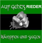 Sv Ried - 