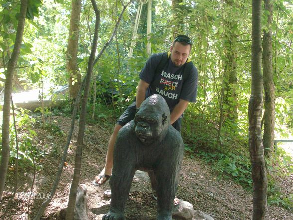 12. 08. 2008 Tierpark Schmiding - 