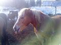 ReitEn - 