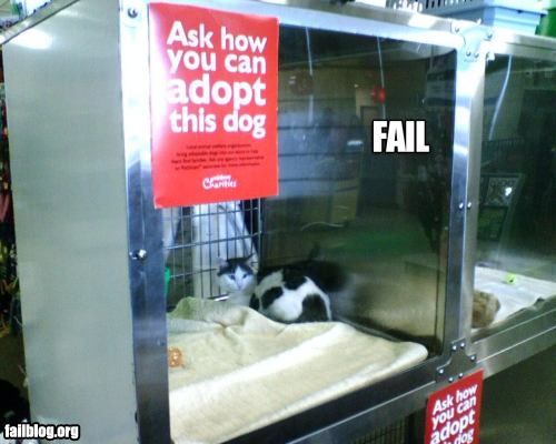 FAIL - 