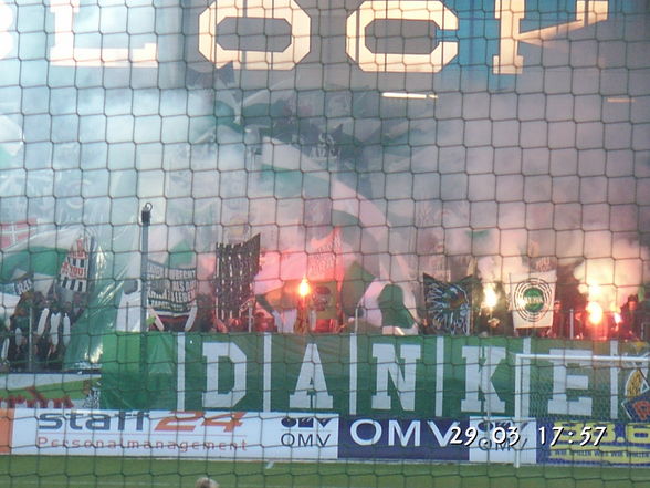 Rapid Wien vs. Wacker Innsbruck - 