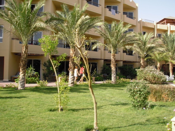 Hurghada 011 - 