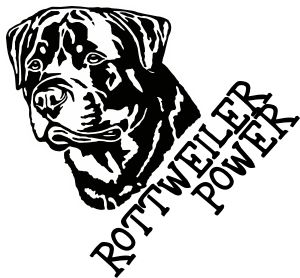 Rottweiler - 