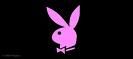 Playboybunny`s - 