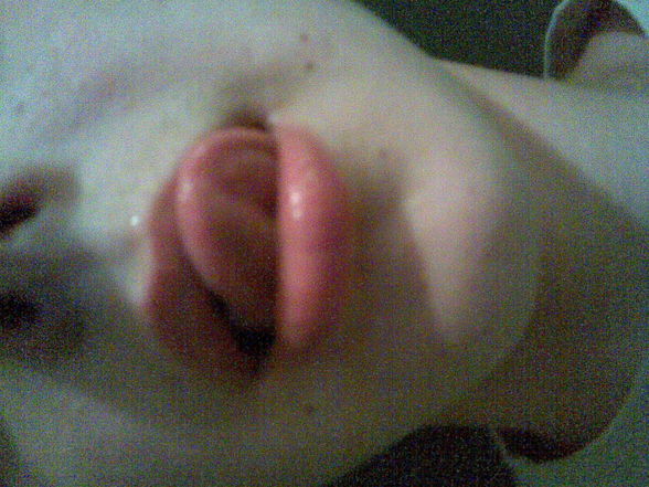 summer 08 - 