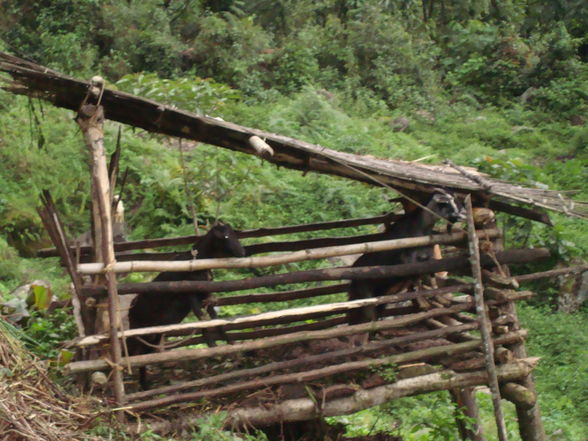 West Sikkim - 