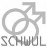 Ich Benjamin Schaller bin Schwul - 