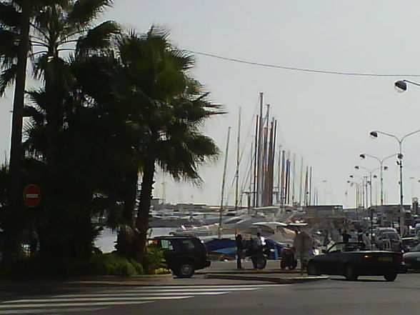 Cannes 2008 - 