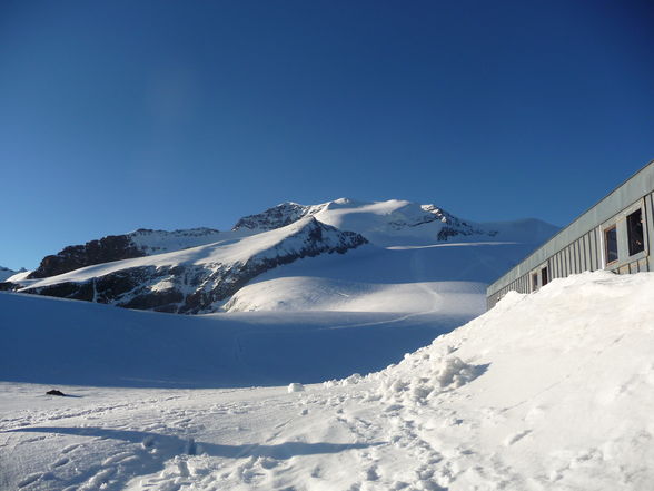 Schweiz - Monte Rosa Massiv 2008 - 