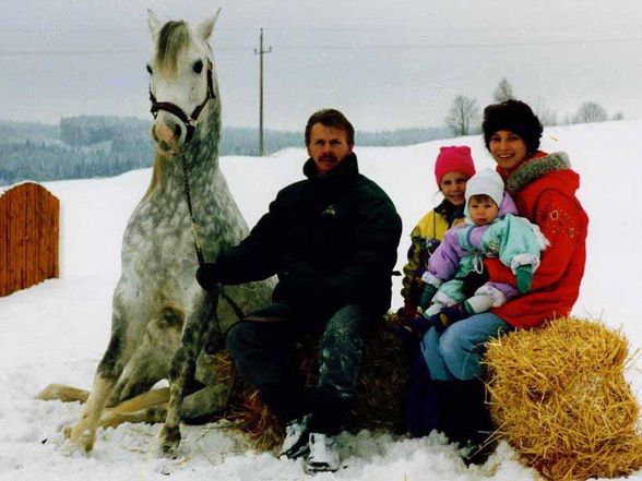 Viele verschiedene Fotos - 