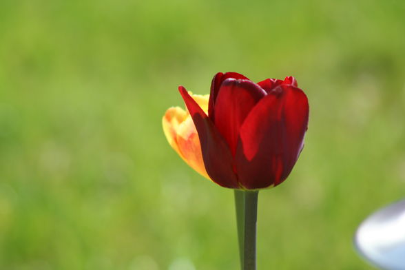 "Nebenbeifotografiertes" - 