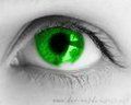 EYES - 