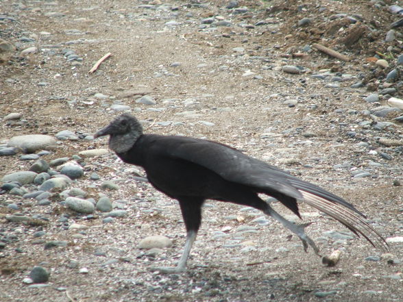 Ecuador - 