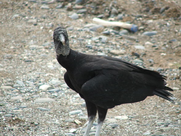 Ecuador - 