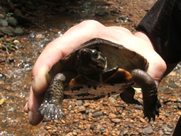 Ecuador - 