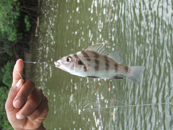 Ecuador - 