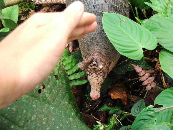 Ecuador - 