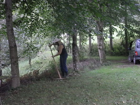 Bienen in Großraming - 