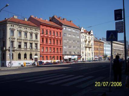 Summer School for Exotic Animals in Brno - 