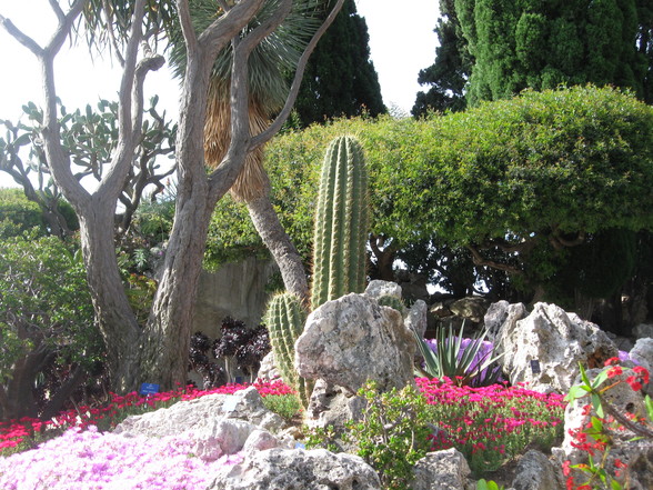 Botanischer Garten Monaco - 