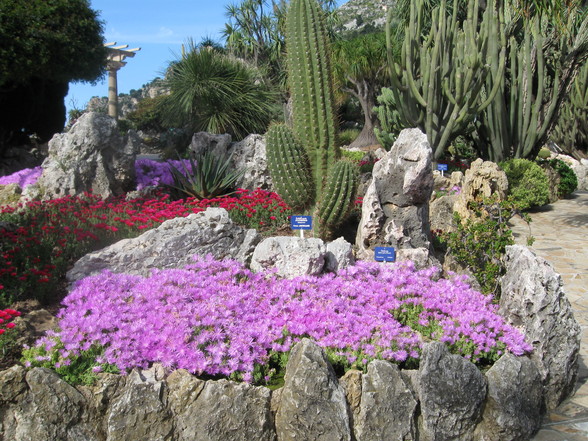 Botanischer Garten Monaco - 