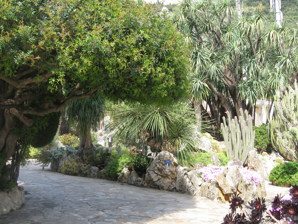 Botanischer Garten Monaco - 