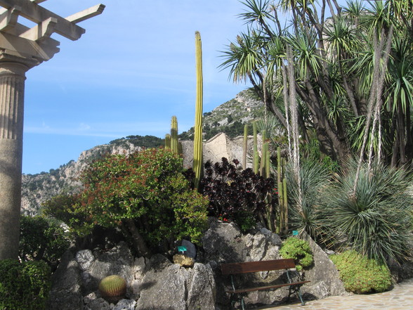 Botanischer Garten Monaco - 