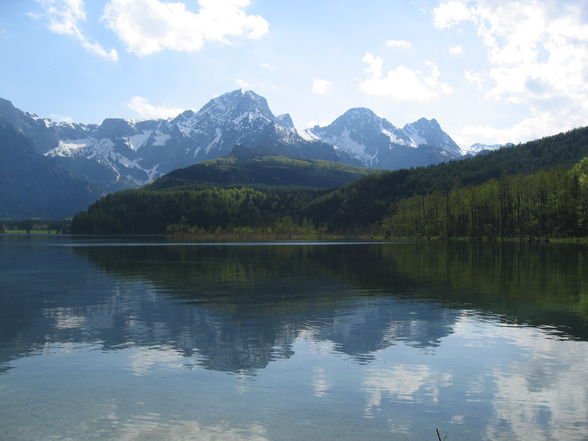 Almsee - 