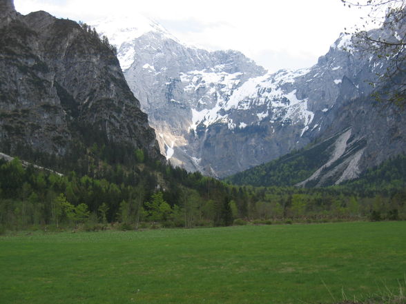 Almsee - 