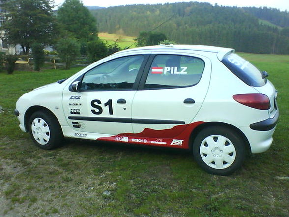 Mein Peugeot 206 WRC - 